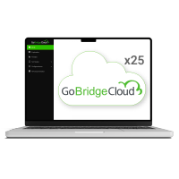 ZK-GOBRIDGECLOUD